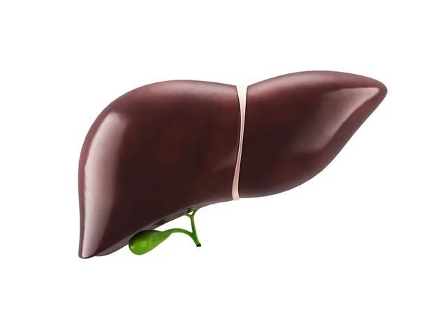 The Prevalence of Metabolic-Associated Fatty Liver Disease In Adult Americans Is Rising